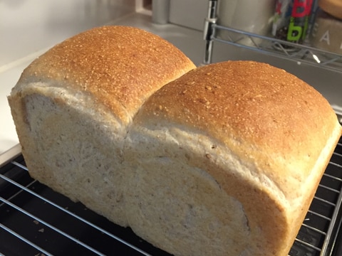 自家製天然酵母の体に優しい食パン（１斤分）